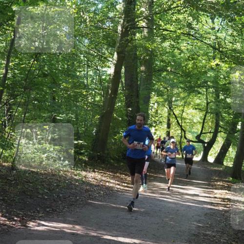 22.09.2024 - 32. Volkslauf durch das schöne Alstertal Miley Keyser http://msf.ph/oto/7136522 22.09.2024 10:39:08 Laufen 2381 meine-sportfotos.de