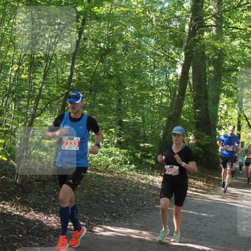 22.09.2024 - 32. Volkslauf durch das schöne Alstertal Miley Keyser http://msf.ph/oto/7136523 22.09.2024 10:39:07 Laufen 2333, 2505 meine-sportfotos.de