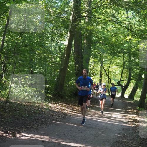22.09.2024 - 32. Volkslauf durch das schöne Alstertal Miley Keyser http://msf.ph/oto/7136524 22.09.2024 10:39:08 Laufen 2381 meine-sportfotos.de