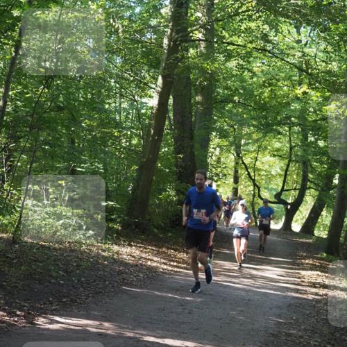 22.09.2024 - 32. Volkslauf durch das schöne Alstertal Miley Keyser http://msf.ph/oto/7136525 22.09.2024 10:39:08 Laufen 2381 meine-sportfotos.de