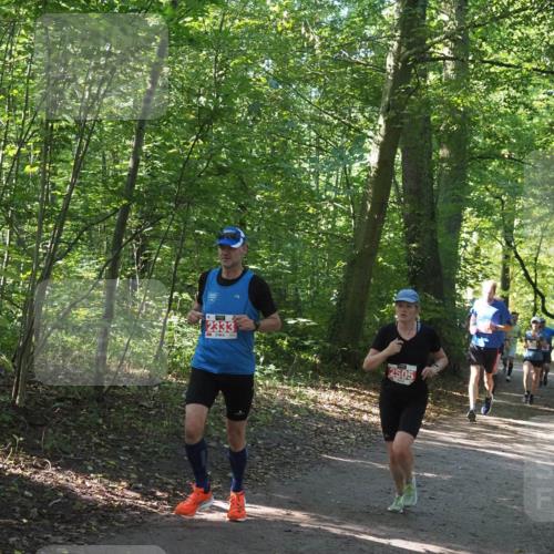 22.09.2024 - 32. Volkslauf durch das schöne Alstertal Miley Keyser http://msf.ph/oto/7136526 22.09.2024 10:39:07 Laufen 2333, 2505 meine-sportfotos.de