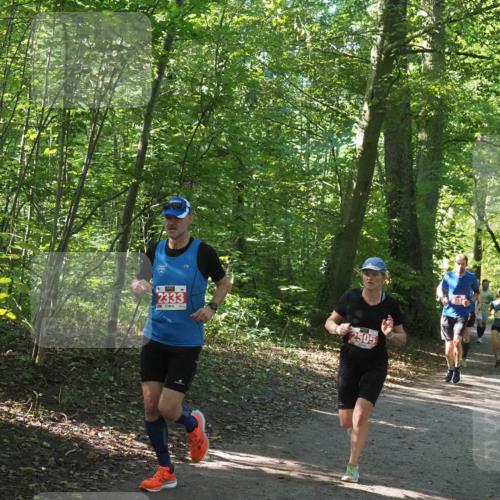 22.09.2024 - 32. Volkslauf durch das schöne Alstertal Miley Keyser http://msf.ph/oto/7136527 22.09.2024 10:39:07 Laufen 2333, 2505 meine-sportfotos.de