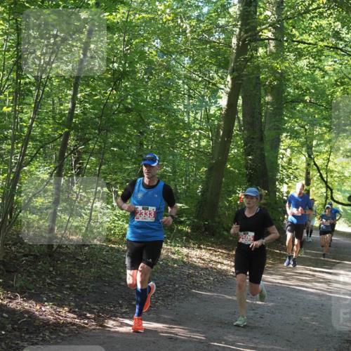 22.09.2024 - 32. Volkslauf durch das schöne Alstertal Miley Keyser http://msf.ph/oto/7136528 22.09.2024 10:39:06 Laufen 2333, 2505 meine-sportfotos.de