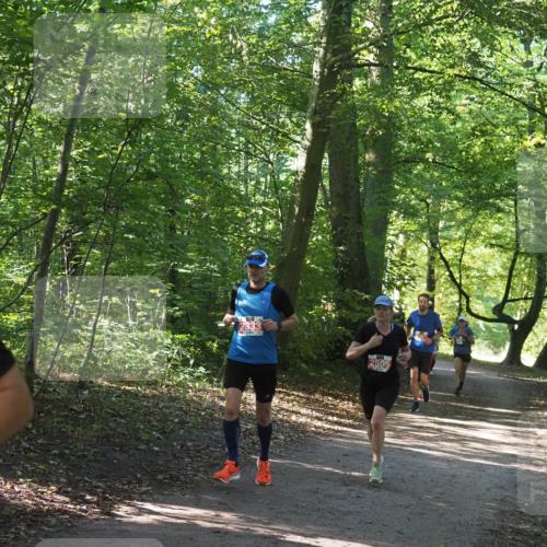 22.09.2024 - 32. Volkslauf durch das schöne Alstertal Miley Keyser http://msf.ph/oto/7136530 22.09.2024 10:39:06 Laufen 2333, 2505 meine-sportfotos.de