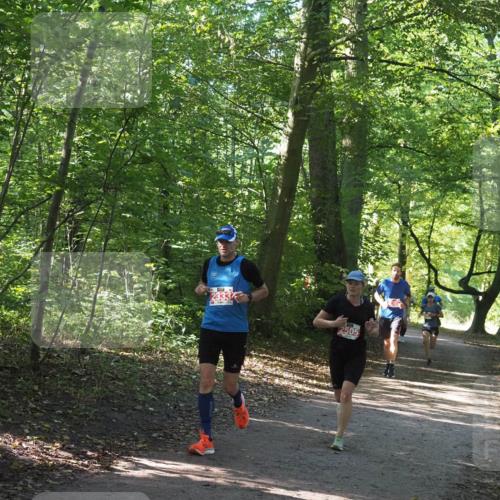 22.09.2024 - 32. Volkslauf durch das schöne Alstertal Miley Keyser http://msf.ph/oto/7136531 22.09.2024 10:39:06 Laufen 23337, 2505 meine-sportfotos.de