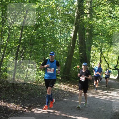 22.09.2024 - 32. Volkslauf durch das schöne Alstertal Miley Keyser http://msf.ph/oto/7136532 22.09.2024 10:39:06 Laufen 2333 meine-sportfotos.de