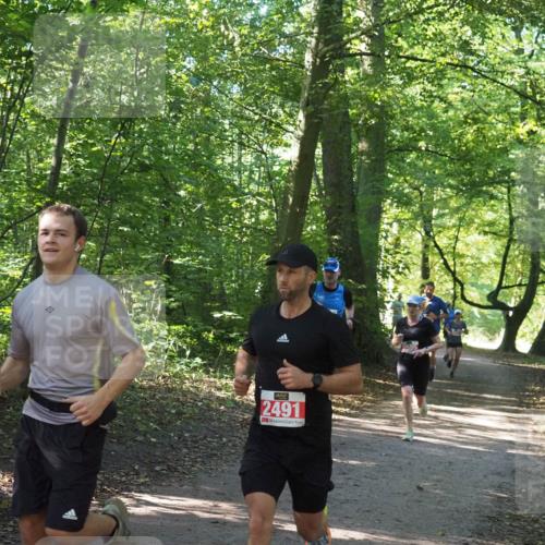 22.09.2024 - 32. Volkslauf durch das schöne Alstertal Miley Keyser http://msf.ph/oto/7136533 22.09.2024 10:39:05 Laufen 2491 meine-sportfotos.de