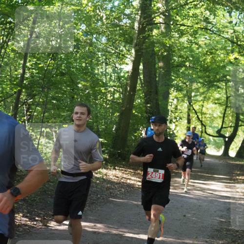 22.09.2024 - 32. Volkslauf durch das schöne Alstertal Miley Keyser http://msf.ph/oto/7136535 22.09.2024 10:39:05 Laufen 2491, 2468 meine-sportfotos.de