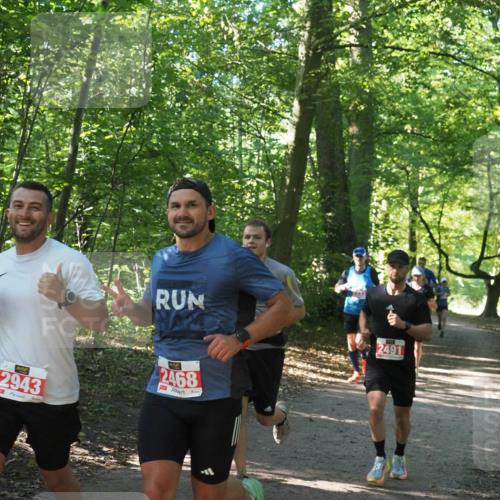 22.09.2024 - 32. Volkslauf durch das schöne Alstertal Miley Keyser http://msf.ph/oto/7136537 22.09.2024 10:39:04 Laufen 2491, 444, 2943, 2468 meine-sportfotos.de