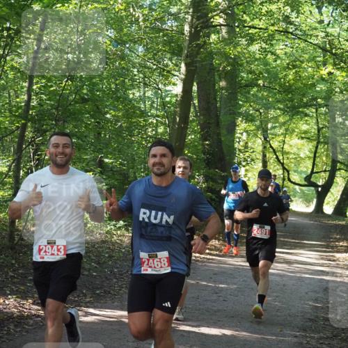 22.09.2024 - 32. Volkslauf durch das schöne Alstertal Miley Keyser http://msf.ph/oto/7136539 22.09.2024 10:39:04 Laufen 2491, 2943, 2468 meine-sportfotos.de