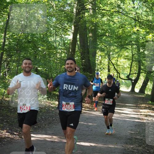 22.09.2024 - 32. Volkslauf durch das schöne Alstertal Miley Keyser http://msf.ph/oto/7136540 22.09.2024 10:39:04 Laufen 2333, 2943, 2468, 2491 meine-sportfotos.de