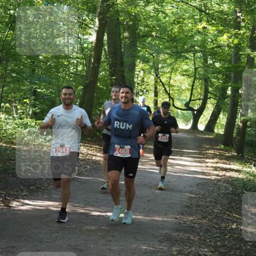 22.09.2024 - 32. Volkslauf durch das schöne Alstertal Miley Keyser http://msf.ph/oto/7136542 22.09.2024 10:39:03 Laufen 2491, 2943, 2468 meine-sportfotos.de