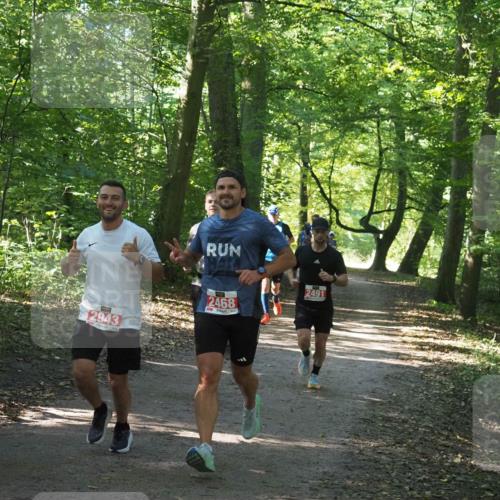 22.09.2024 - 32. Volkslauf durch das schöne Alstertal Miley Keyser http://msf.ph/oto/7136544 22.09.2024 10:39:03 Laufen 2943, 2468, 2491 meine-sportfotos.de