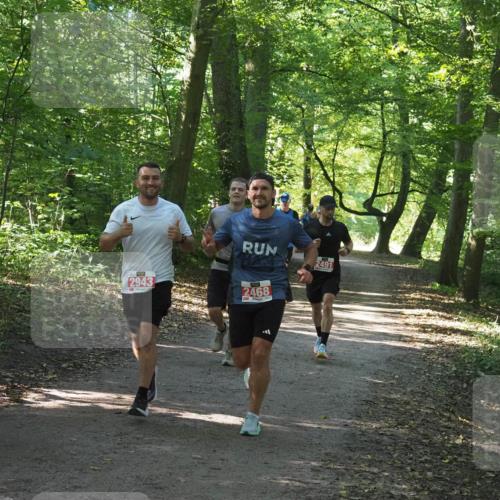 22.09.2024 - 32. Volkslauf durch das schöne Alstertal Miley Keyser http://msf.ph/oto/7136545 22.09.2024 10:39:03 Laufen 2943, 2468, 2491 meine-sportfotos.de