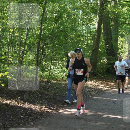 22.09.2024 - 32. Volkslauf durch das schöne Alstertal Miley Keyser http://msf.ph/oto/7136550 22.09.2024 10:39:01 Laufen 2431, 2943, 2468 meine-sportfotos.de