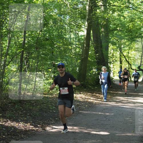 22.09.2024 - 32. Volkslauf durch das schöne Alstertal Miley Keyser http://msf.ph/oto/7136555 22.09.2024 10:38:57 Laufen 2050 meine-sportfotos.de