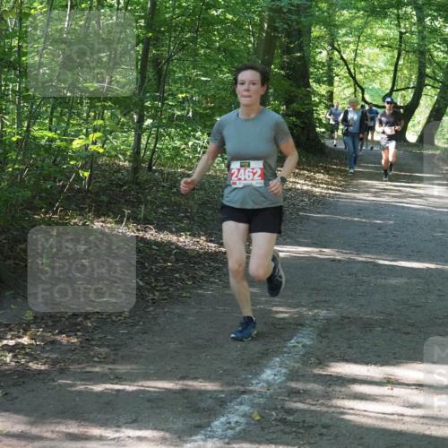 22.09.2024 - 32. Volkslauf durch das schöne Alstertal Miley Keyser http://msf.ph/oto/7136559 22.09.2024 10:38:54 Laufen 2462 meine-sportfotos.de