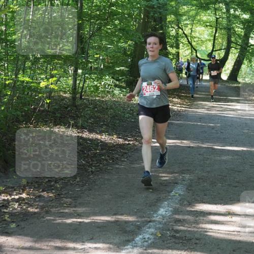 22.09.2024 - 32. Volkslauf durch das schöne Alstertal Miley Keyser http://msf.ph/oto/7136560 22.09.2024 10:38:54 Laufen 2462 meine-sportfotos.de