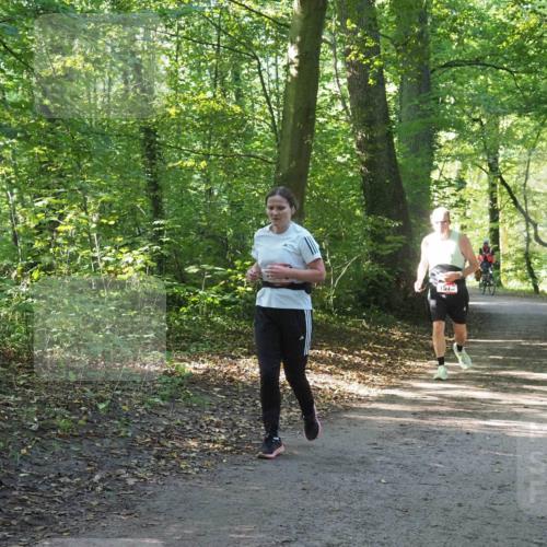 22.09.2024 - 32. Volkslauf durch das schöne Alstertal Miley Keyser http://msf.ph/oto/7136603 22.09.2024 10:29:03 Laufen 1673 meine-sportfotos.de