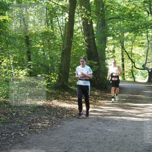 22.09.2024 - 32. Volkslauf durch das schöne Alstertal Miley Keyser http://msf.ph/oto/7136605 22.09.2024 10:29:02 Laufen 1076, 1673 meine-sportfotos.de