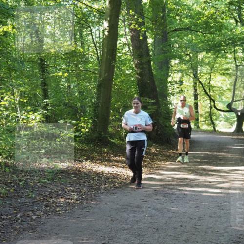 22.09.2024 - 32. Volkslauf durch das schöne Alstertal Miley Keyser http://msf.ph/oto/7136606 22.09.2024 10:29:02 Laufen 1673, 10 meine-sportfotos.de