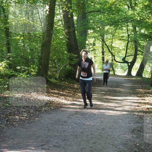 22.09.2024 - 32. Volkslauf durch das schöne Alstertal Miley Keyser http://msf.ph/oto/7136615 22.09.2024 10:28:56 Laufen 1069 meine-sportfotos.de