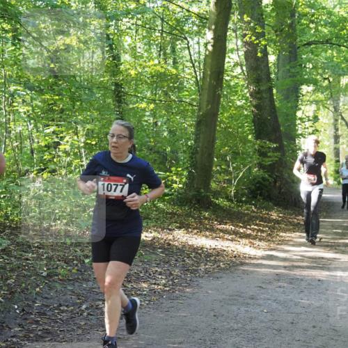 22.09.2024 - 32. Volkslauf durch das schöne Alstertal Miley Keyser http://msf.ph/oto/7136616 22.09.2024 10:28:54 Laufen 1077, 069 meine-sportfotos.de