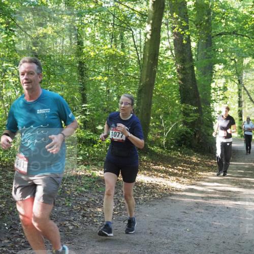 22.09.2024 - 32. Volkslauf durch das schöne Alstertal Miley Keyser http://msf.ph/oto/7136618 22.09.2024 10:28:54 Laufen 1681, 32, 1077 meine-sportfotos.de