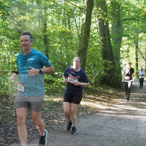 22.09.2024 - 32. Volkslauf durch das schöne Alstertal Miley Keyser http://msf.ph/oto/7136621 22.09.2024 10:28:54 Laufen 681, 107, 069 meine-sportfotos.de