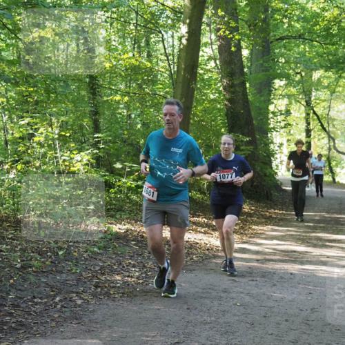 22.09.2024 - 32. Volkslauf durch das schöne Alstertal Miley Keyser http://msf.ph/oto/7136622 22.09.2024 10:28:53 Laufen 1077 meine-sportfotos.de