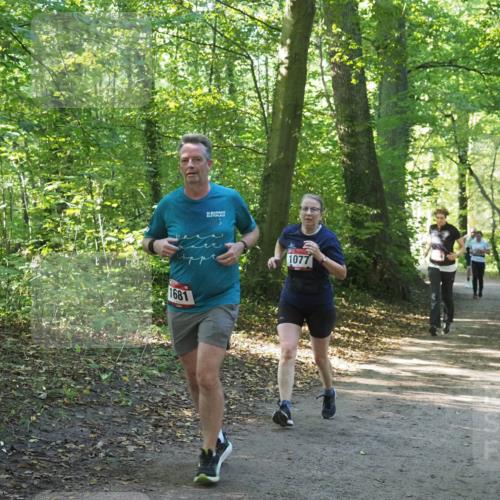 22.09.2024 - 32. Volkslauf durch das schöne Alstertal Miley Keyser http://msf.ph/oto/7136623 22.09.2024 10:28:53 Laufen 1681, 32, 1077 meine-sportfotos.de