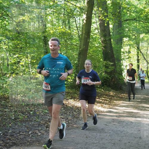 22.09.2024 - 32. Volkslauf durch das schöne Alstertal Miley Keyser http://msf.ph/oto/7136624 22.09.2024 10:28:53 Laufen 32, 1681, 1077, 1069 meine-sportfotos.de