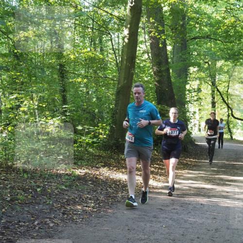 22.09.2024 - 32. Volkslauf durch das schöne Alstertal Miley Keyser http://msf.ph/oto/7136626 22.09.2024 10:28:52 Laufen 1681, 1077 meine-sportfotos.de