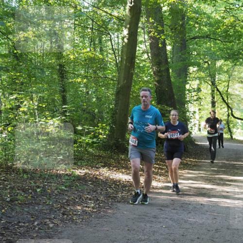 22.09.2024 - 32. Volkslauf durch das schöne Alstertal Miley Keyser http://msf.ph/oto/7136627 22.09.2024 10:28:52 Laufen 1681, 1077 meine-sportfotos.de