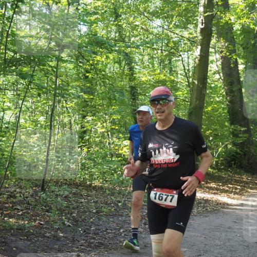 22.09.2024 - 32. Volkslauf durch das schöne Alstertal Miley Keyser http://msf.ph/oto/7136649 22.09.2024 10:27:46 Laufen 1677 meine-sportfotos.de