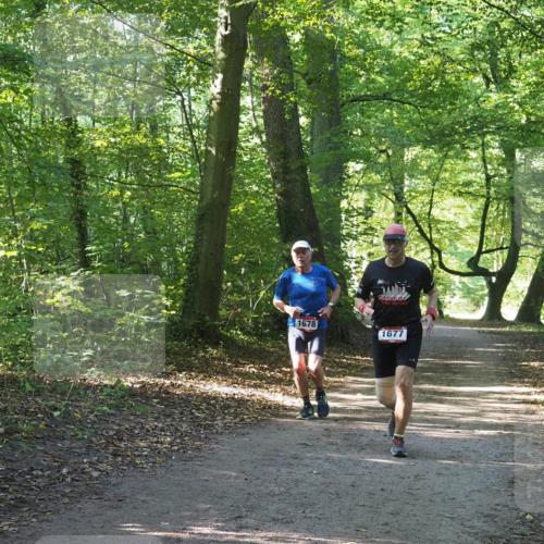 22.09.2024 - 32. Volkslauf durch das schöne Alstertal Miley Keyser http://msf.ph/oto/7136655 22.09.2024 10:27:44 Laufen 1678, 1677 meine-sportfotos.de