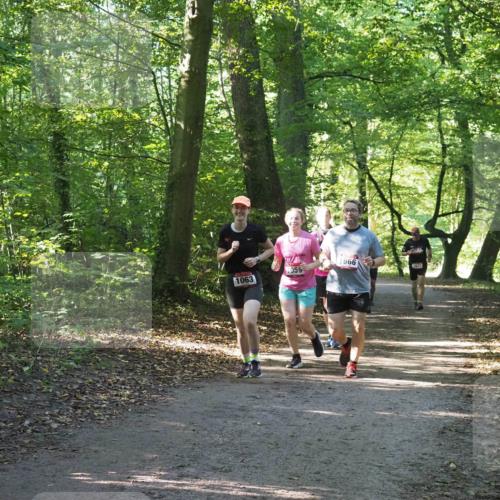 22.09.2024 - 32. Volkslauf durch das schöne Alstertal Miley Keyser http://msf.ph/oto/7136669 22.09.2024 10:27:38 Laufen 1666, 1059, 1677, 1063 meine-sportfotos.de