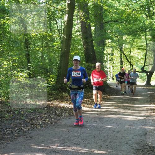 22.09.2024 - 32. Volkslauf durch das schöne Alstertal Miley Keyser http://msf.ph/oto/7136677 22.09.2024 10:27:33 Laufen 1078, 166, 1063 meine-sportfotos.de