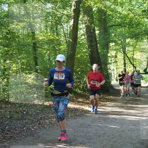 22.09.2024 - 32. Volkslauf durch das schöne Alstertal Miley Keyser http://msf.ph/oto/7136679 22.09.2024 10:27:33 Laufen 1078, 1660, 1063, 1666 meine-sportfotos.de