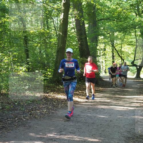 22.09.2024 - 32. Volkslauf durch das schöne Alstertal Miley Keyser http://msf.ph/oto/7136680 22.09.2024 10:27:33 Laufen 1078, 600, 1063, 1666 meine-sportfotos.de