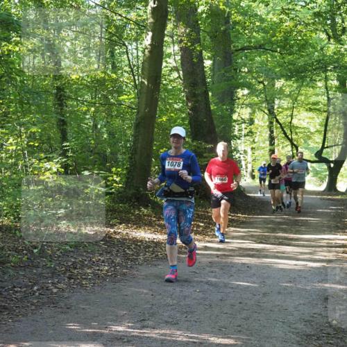 22.09.2024 - 32. Volkslauf durch das schöne Alstertal Miley Keyser http://msf.ph/oto/7136682 22.09.2024 10:27:33 Laufen 1078, 1660, 1063 meine-sportfotos.de