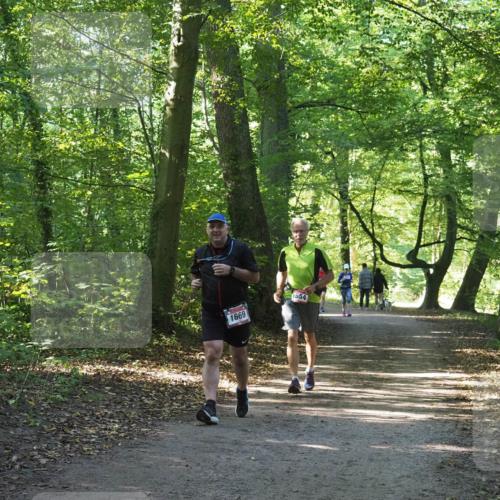 22.09.2024 - 32. Volkslauf durch das schöne Alstertal Miley Keyser http://msf.ph/oto/7136690 22.09.2024 10:27:21 Laufen 1669, 1654 meine-sportfotos.de