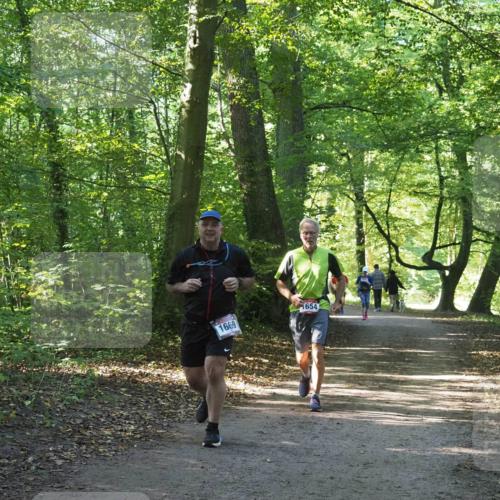 22.09.2024 - 32. Volkslauf durch das schöne Alstertal Miley Keyser http://msf.ph/oto/7136693 22.09.2024 10:27:21 Laufen 1669, 1654 meine-sportfotos.de