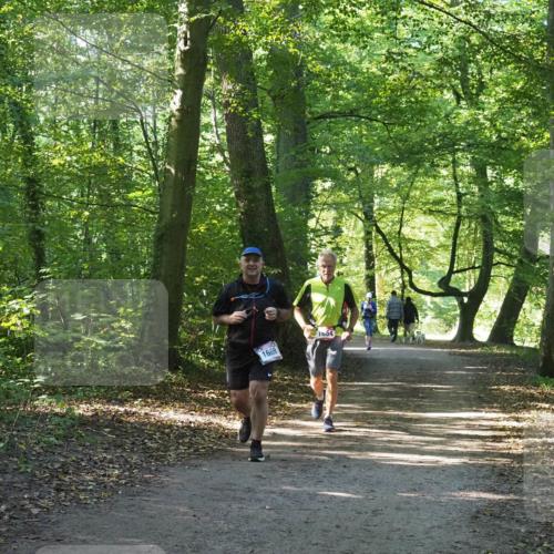 22.09.2024 - 32. Volkslauf durch das schöne Alstertal Miley Keyser http://msf.ph/oto/7136694 22.09.2024 10:27:21 Laufen 1669, 1654 meine-sportfotos.de