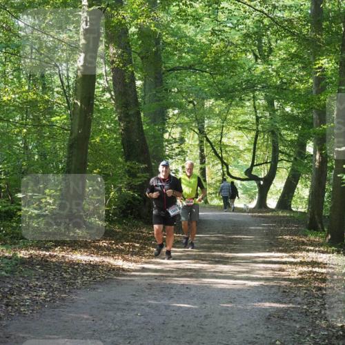 22.09.2024 - 32. Volkslauf durch das schöne Alstertal Miley Keyser http://msf.ph/oto/7136698 22.09.2024 10:27:19 Laufen 1669, 1654 meine-sportfotos.de