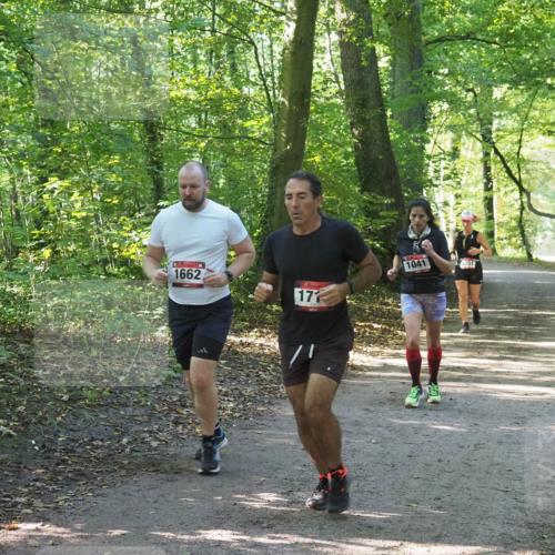 22.09.2024 - 32. Volkslauf durch das schöne Alstertal Miley Keyser http://msf.ph/oto/7136709 22.09.2024 10:26:35 Laufen 1662, 171, 1041, 051 meine-sportfotos.de