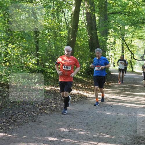 22.09.2024 - 32. Volkslauf durch das schöne Alstertal Miley Keyser http://msf.ph/oto/7136751 22.09.2024 10:26:01 Laufen 1659, 1731, 1665, 1060 meine-sportfotos.de