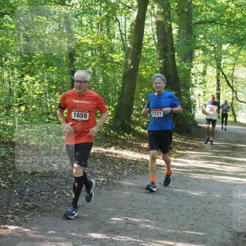 22.09.2024 - 32. Volkslauf durch das schöne Alstertal Miley Keyser http://msf.ph/oto/7136752 22.09.2024 10:26:02 Laufen 1659, 17311, 1060 meine-sportfotos.de