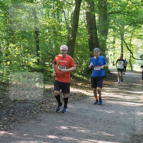 22.09.2024 - 32. Volkslauf durch das schöne Alstertal Miley Keyser http://msf.ph/oto/7136755 22.09.2024 10:26:01 Laufen 1659, 17312 meine-sportfotos.de
