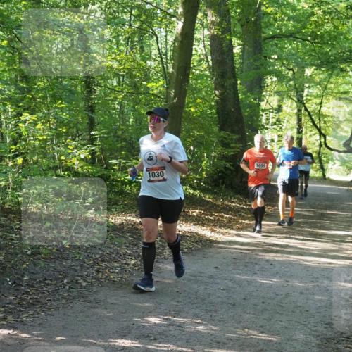22.09.2024 - 32. Volkslauf durch das schöne Alstertal Miley Keyser http://msf.ph/oto/7136759 22.09.2024 10:25:59 Laufen 1659, 1030 meine-sportfotos.de